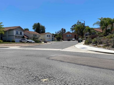 1545 Calle Violetas, Encinitas, CA 92024 - photo 6