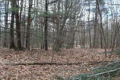 17 Longhorn Rd, Union Township, PA 16652 - photo 4