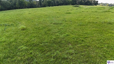 Tract 3 Troutman Ln, Clarkson, KY 42726 - photo 7