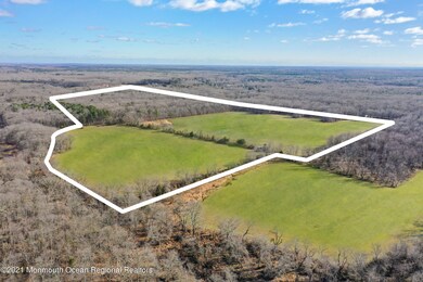 019_dji_0721_grassb