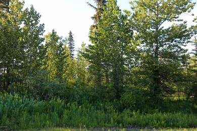 Stone River Lots-18