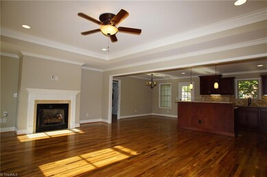 Living room fireplace