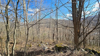 0 27 Acres Big Spring Elk unit 25-1445, Slatyfork, WV 26291 - photo 3