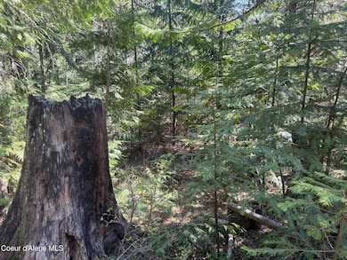 NNA Upper Manley Creek Rd West Lot, Laclede, ID 83841 - photo 4