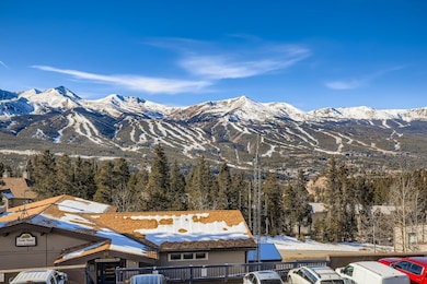 93 Fuller Placer Rd unit F, Breckenridge, CO 80424 - photo 5