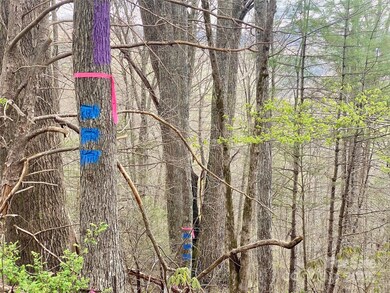 7858 Big Laurel Rd, Marshall, NC 28753 - photo 7