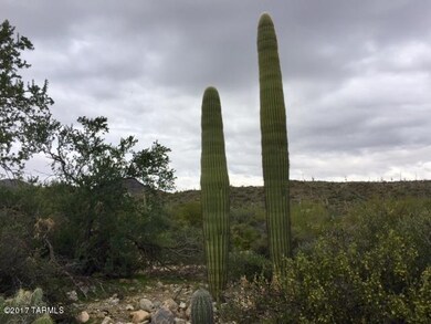 Great Vegetation