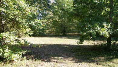 840 Buffalo Bottom Rd, Linden, TN 37096 - photo 7