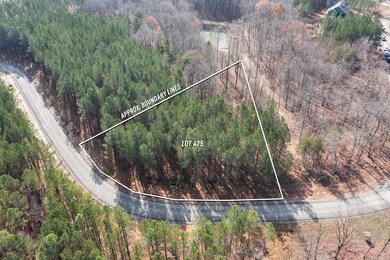 2-DJI_0054