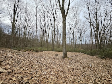 Illinois Ln Tract (22)