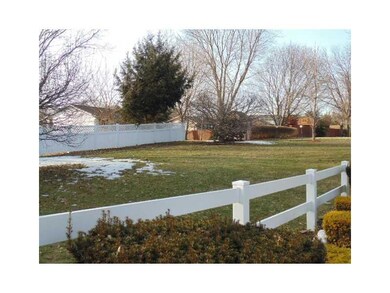 Yard/Garden.