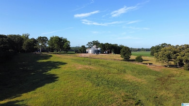 345 Conchardee Ln, Lincoln, AL 35096 - photo 2