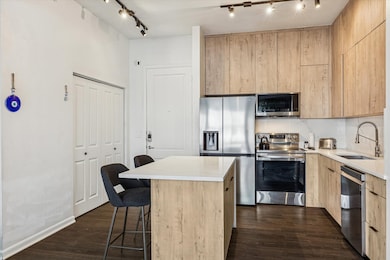 The Mark Condominiums unit 315, Houston, TX 77056 - photo 4