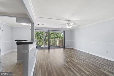 2626 Fort Farnsworth Rd unit 203, Alexandria, VA 22303 - photo 6