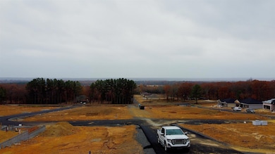 LOT 2 Coal Mountain Rd, El Paso, AR 72045 - photo 7