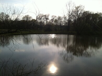 Pond Outside the Kitchen