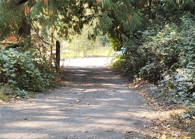 24908 144th Ave E, Graham, WA 98338 - photo 3