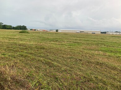 703 Damascus St, Rosenberg, TX 77471 - photo 4