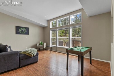 4803 U S 24, Florissant, CO 80816 - photo 7