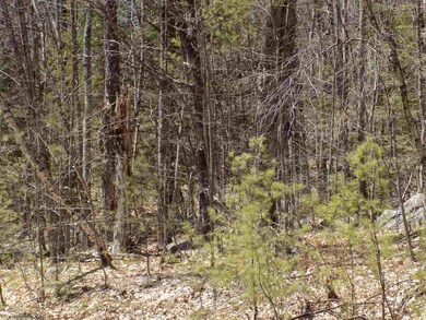 12 Easy Ave, Albany, NH 03818 - photo 3