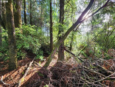 0 Kreiger Ln unit 122 24581015, Port Orford, OR 97465 - photo 5