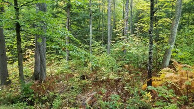 20191001_101542