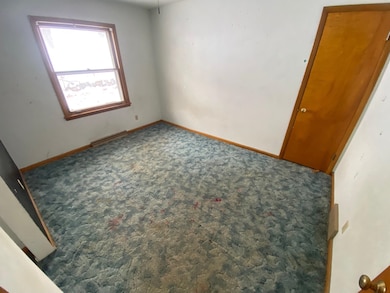 1070 Roosevelt St, Dubuque, IA 52001 - photo 5