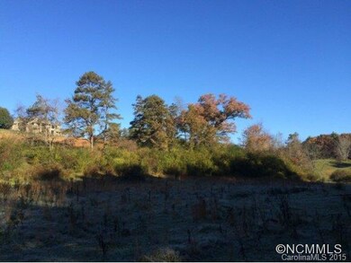 unlisted-address, Leicester, NC 28806 - photo 6