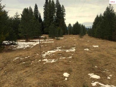 230 StorMcLoud Dr, Sagle, ID 83860 - photo 2