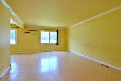 650 Shining Water Dr, Carol Stream, IL 60188 - photo 4