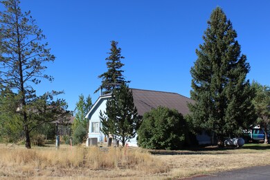 Corner View w/large trees