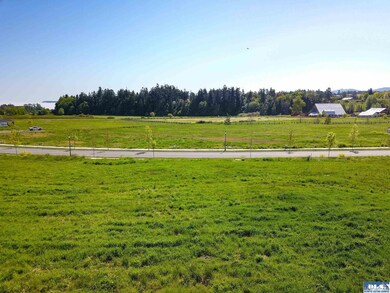 371 Broadmoor St, Sequim, WA 98382 - photo 6