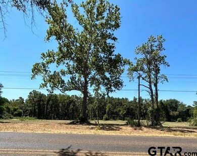 11532 County Road 219, Tyler, TX 75707 - photo 3