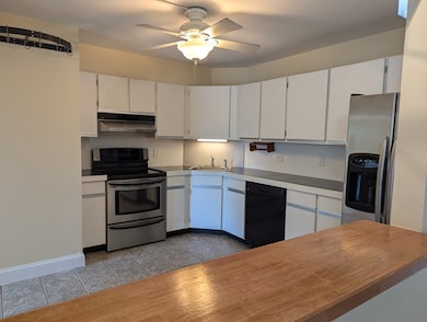 151 Coolidge Ave unit 205, Watertown, MA 02472 - photo 5