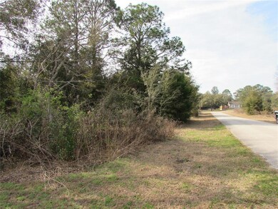 TBD SW 83rd St, Dunnellon, FL 34431 - photo 3