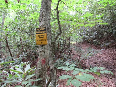 0 Stantons Ln, Greeneville, TN 37743 - photo 6