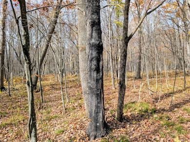 E N 20 School Rd, Glen Flora, WI 54526 - photo 5