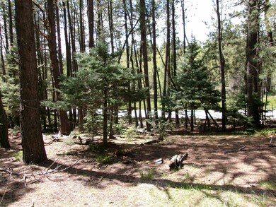 Lot 454 Maxwell Way, Angel Fire, NM 87710 - photo 2