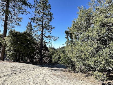 0 Mountain View unit 2011252, Idyllwild, CA - photo 2