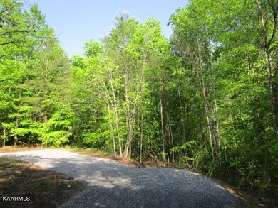 0 Cedar Rock unit 1189732, Rutledge, TN 37861 - photo 2