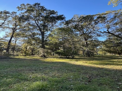 10699 Magnolia Dr, Conroe, TX 77303 - photo 5