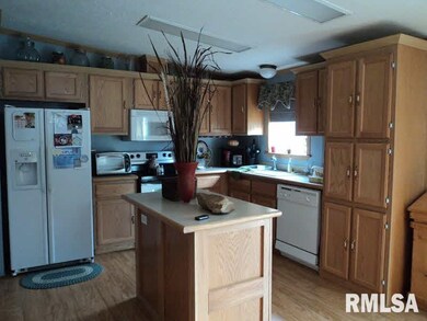 1205 Dorris Heights Rd, Harrisburg, IL 62946 - photo 6