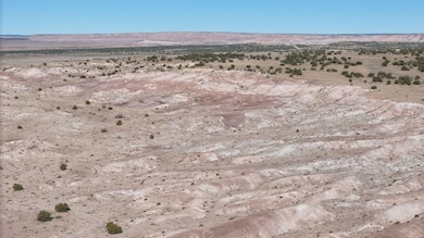 Unnamed Dirt Rd unit Apache AZ, Sanders, AZ 85936 - photo 6