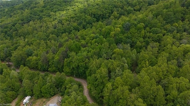 0 Cove Gap Rd unit Offering 2 1196059, Moravian Falls, NC 28654 - photo 4