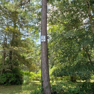 26047 Rolling Forest Ln, Hockley, TX 77447 - photo 3