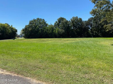 12210 Lake Breeze Dr, Erath, LA 70533 - photo 5