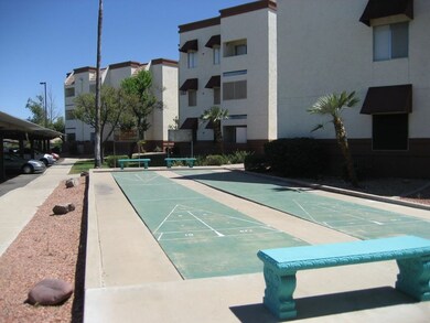 Community Shuffle Board