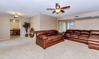 Living Room - Dining Room