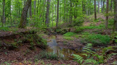 00 U S 341, Yatesville, GA 31097 - photo 7