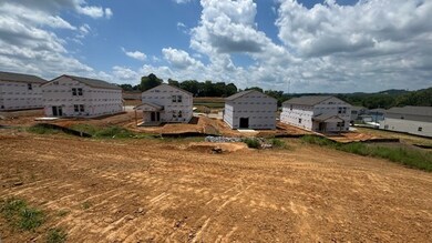 Progress Photo 7/29, Rolling Hill View